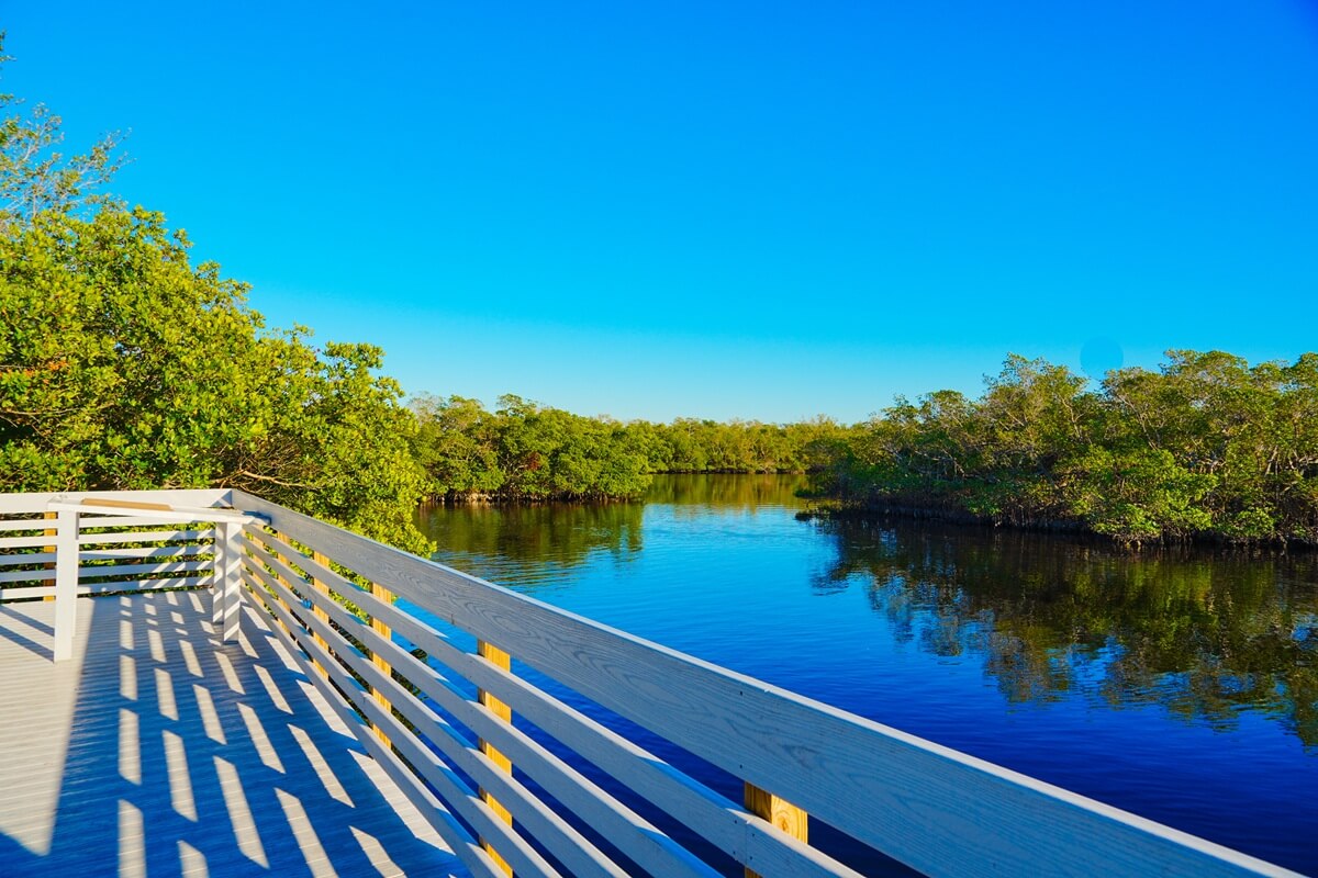 Tampa Apollo Beach Eg Simmons regional park and Tampa bay landscape