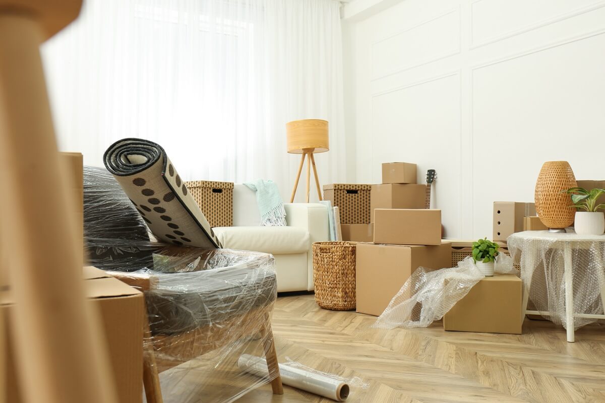 cardboard boxes, potted plants and household stuff indoors