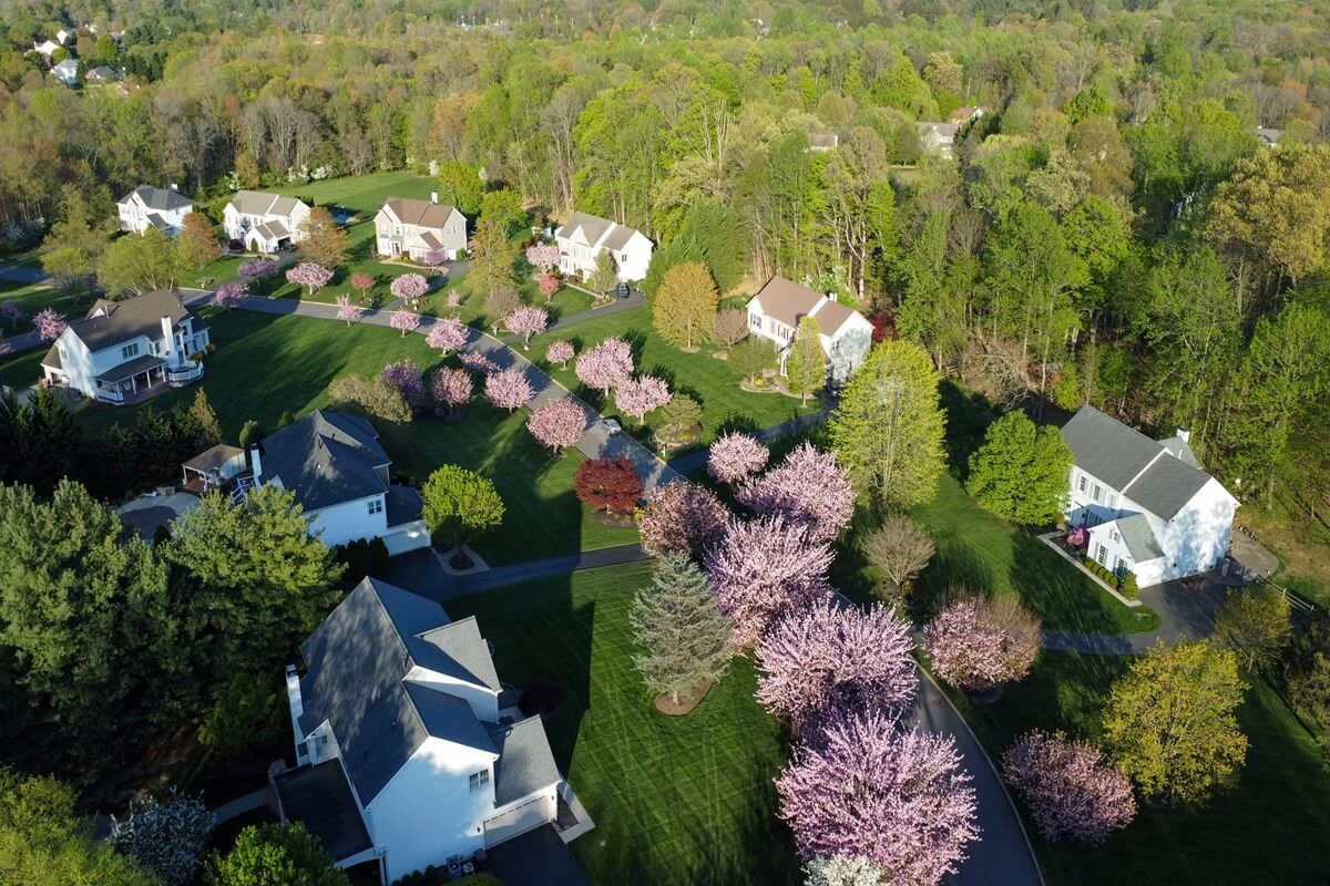 cherry blossom flowers blooming in a residential community in Garnet Valley Pennsylvania
