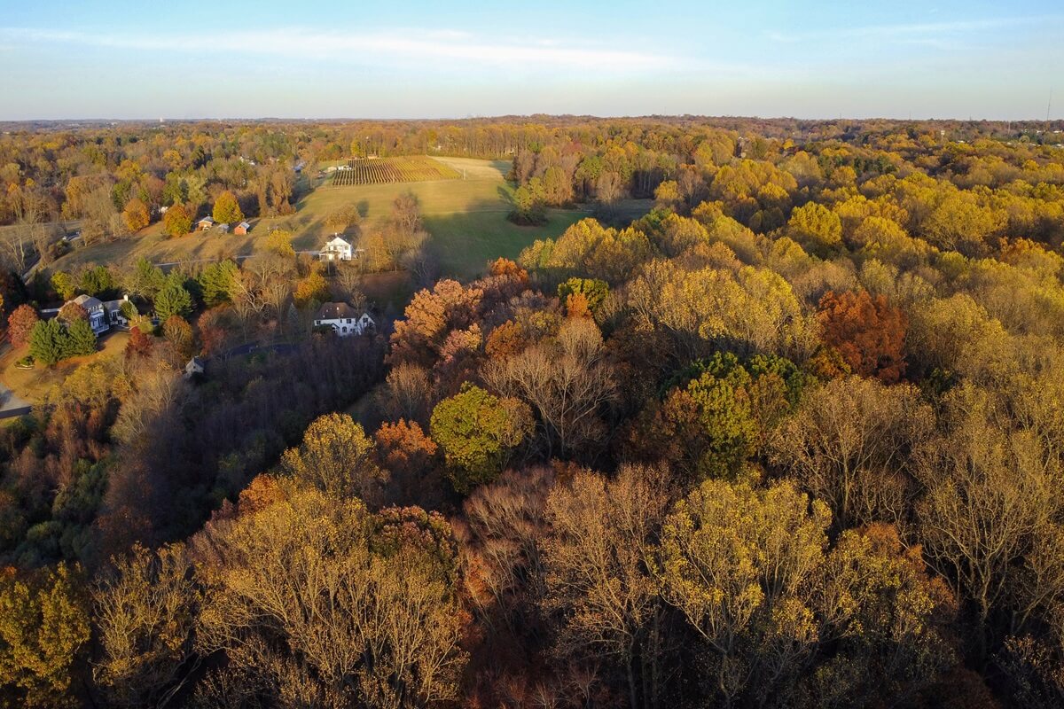 overlooking the forest in brandywine valley in first state national historical park from a farm Chadds Ford Pennsylvania