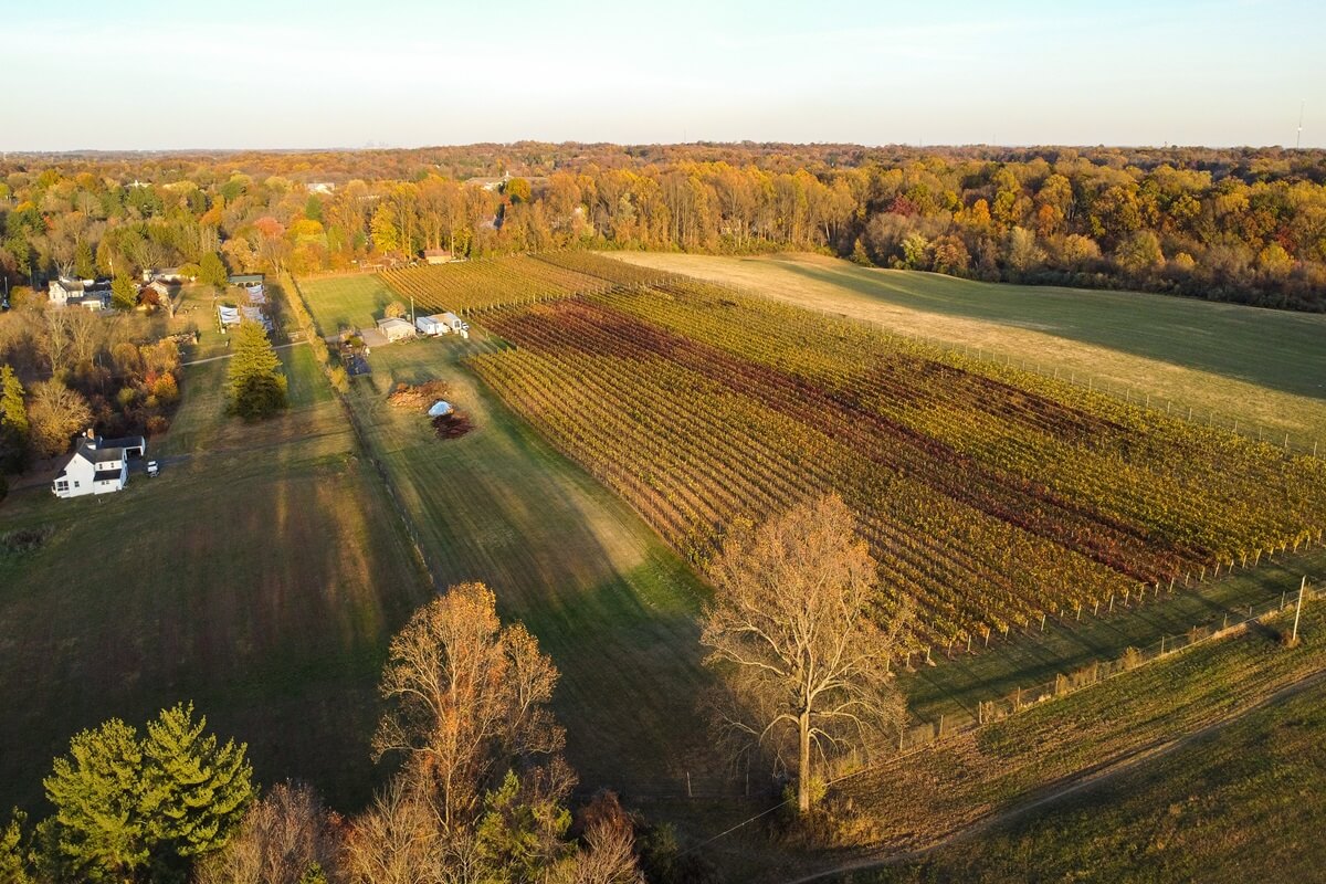 overlooking the forest in brandywine valley in first state national historical park from a nearby vineyard Chadds Ford Pennsylvania