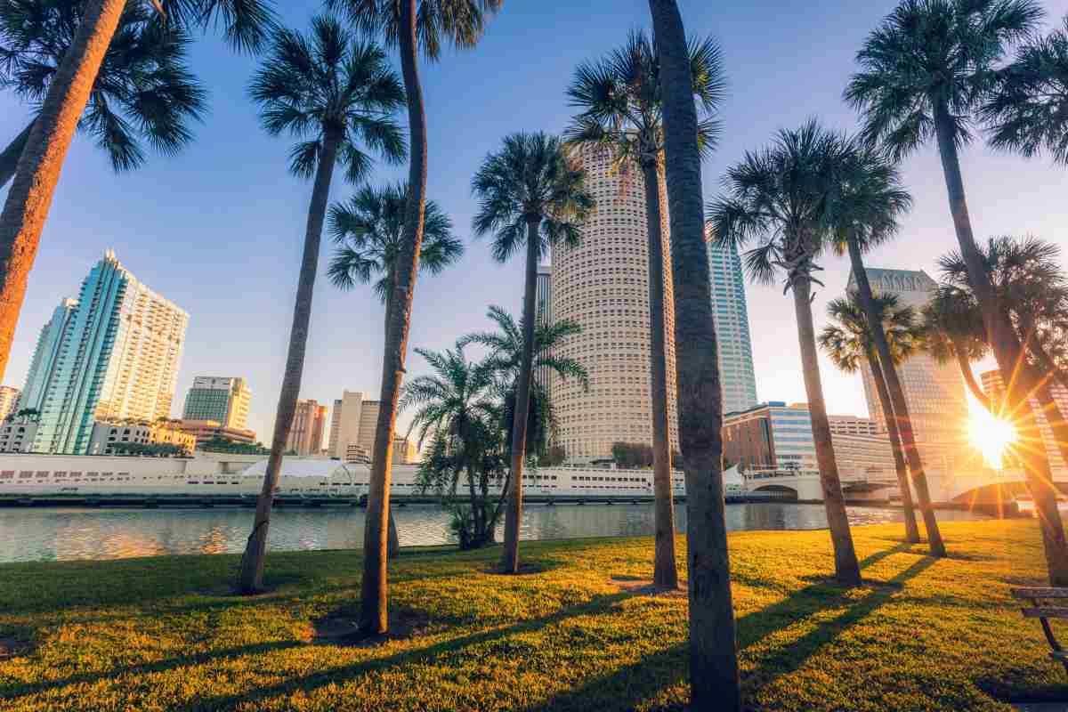 shore side view of the tampa florida skyline
